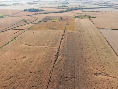 Agricultural Investment Opportunity For Sale in Hayfield, MN - image 19