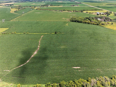 Agricultural Investment Opportunity For Sale in Hayfield, MN - image 4