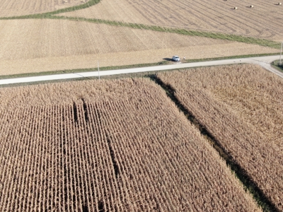 Agricultural Investment Opportunity For Sale in Hayfield, MN - image 11