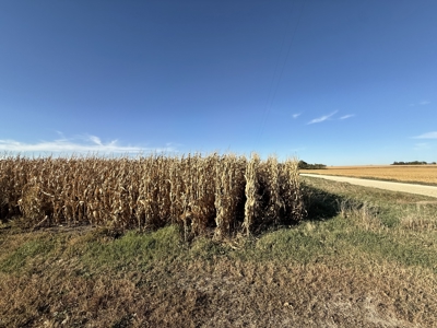 Agricultural Investment Opportunity For Sale in Hayfield, MN - image 24