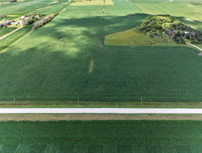 Agricultural Investment Opportunity For Sale in Hayfield, MN - image 5