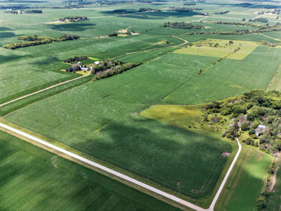 Agricultural Investment Opportunity For Sale in Hayfield, MN - image 1