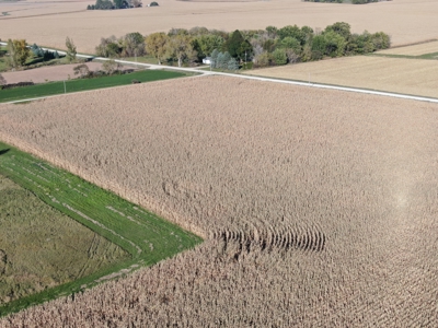 Agricultural Investment Opportunity For Sale in Hayfield, MN - image 13