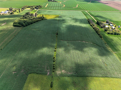 Agricultural Investment Opportunity For Sale in Hayfield, MN - image 8