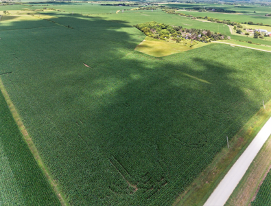 Agricultural Investment Opportunity For Sale in Hayfield, MN - image 2