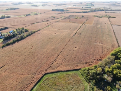 Agricultural Investment Opportunity For Sale in Hayfield, MN - image 20