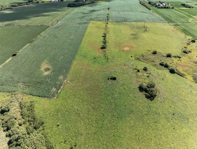 Agricultural Investment Opportunity For Sale in Hayfield, MN - image 9