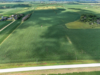 Agricultural Investment Opportunity For Sale in Hayfield, MN - image 7