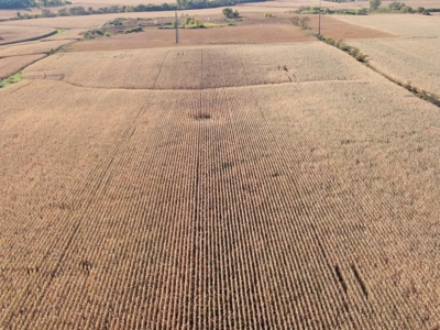 Agricultural Investment Opportunity For Sale in Hayfield, MN - image 14