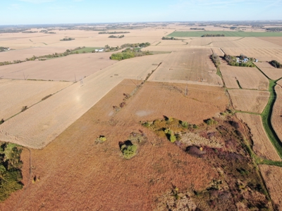 Agricultural Investment Opportunity For Sale in Hayfield, MN - image 15