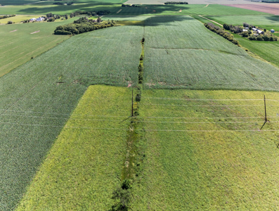 Agricultural Investment Opportunity For Sale in Hayfield, MN - image 10