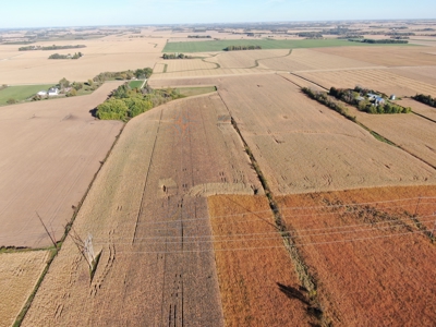 Agricultural Investment Opportunity For Sale in Hayfield, MN - image 17