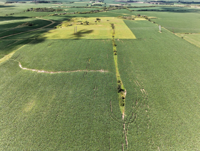 Agricultural Investment Opportunity For Sale in Hayfield, MN - image 3