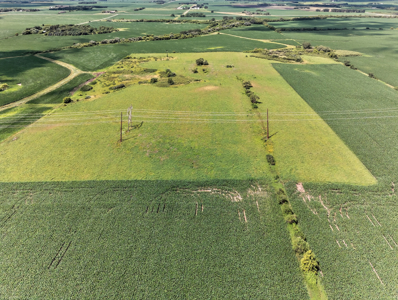 Agricultural Investment Opportunity For Sale in Hayfield, MN - image 6