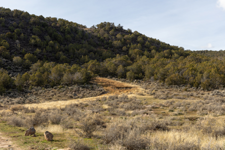 Bull Creek Ranch For Sale - Mesa, CO - image 48