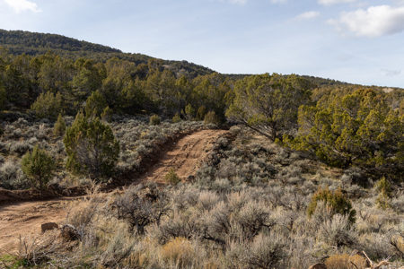 Bull Creek Ranch For Sale - Mesa, CO - image 46