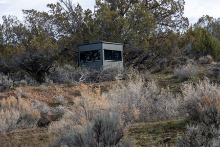 Bull Creek Ranch For Sale - Mesa, CO - image 47