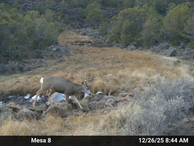 Bull Creek Ranch For Sale - Mountain Off Grid Hunting, Recreation - image 49