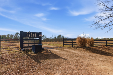 Secluded Ranch Bordering Mark Twain Nat'l Forest in Vanzant, MO - image 1
