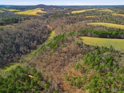 Secluded Ranch Bordering Mark Twain Nat'l Forest in Vanzant, MO - image 45