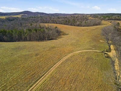 Secluded Ranch Bordering Mark Twain Nat'l Forest in Vanzant, MO - image 42