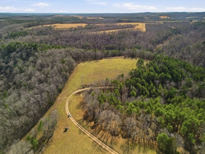 Secluded Ranch Bordering Mark Twain Nat'l Forest in Vanzant, MO - image 44