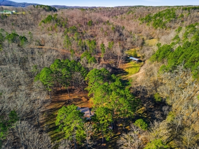 Secluded Ranch Bordering Mark Twain Nat'l Forest in Vanzant, MO - image 38