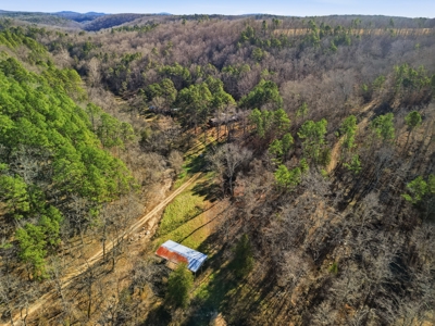 Secluded Ranch Bordering Mark Twain Nat'l Forest in Vanzant, MO - image 40