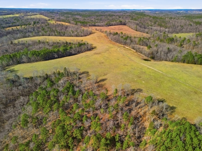 Secluded Ranch Bordering Mark Twain Nat'l Forest in Vanzant, MO - image 7