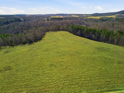 Secluded Ranch Bordering Mark Twain Nat'l Forest in Vanzant, MO - image 5
