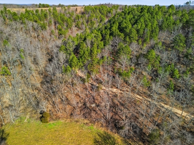 Secluded Ranch Bordering Mark Twain Nat'l Forest in Vanzant, MO - image 39