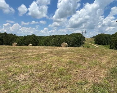 Secluded Ranch Bordering Mark Twain Nat'l Forest in Vanzant, MO - image 45