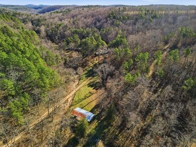 Secluded Ranch Bordering Mark Twain Nat'l Forest in Vanzant, MO - image 41