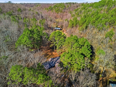 Secluded Ranch Bordering Mark Twain Nat'l Forest in Vanzant, MO - image 36