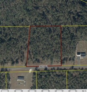 North Florida 4.45‑Acre Country Lot — Ready for Your Vision - image 1