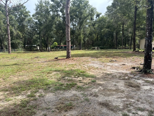 1 Acre. 3 Bedrooms. Paved Road. Perfect Location.