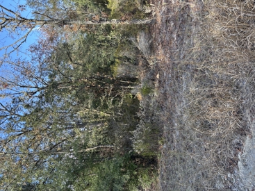 Listing 165