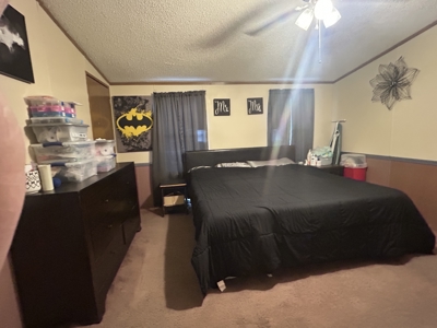 Well Maintained Manufactured Home Horseshoe Bend, AR - image 9