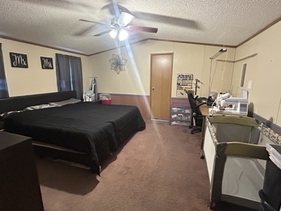 Well Maintained Manufactured Home Horseshoe Bend, AR - image 6