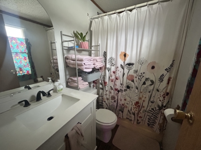 Well Maintained Manufactured Home Horseshoe Bend, AR - image 12