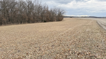 Income Producing Property In Northwest Missouri - image 7