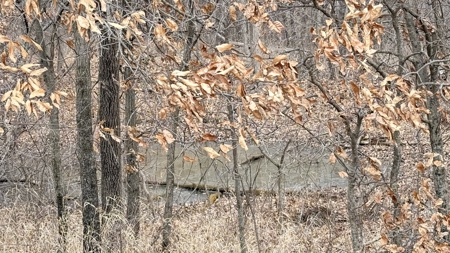 Income Producing Property In Northwest Missouri - image 15