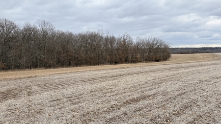 Income Producing Property In Northwest Missouri - image 6