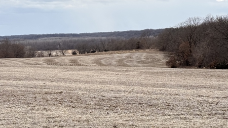 Income Producing Property In Northwest Missouri - image 5