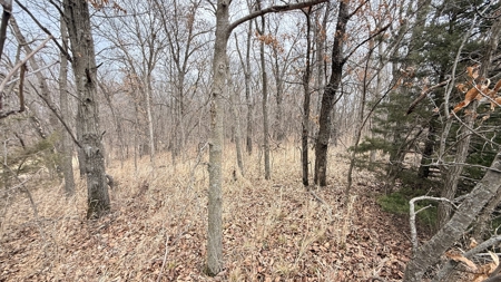 Income Producing Property In Northwest Missouri - image 8