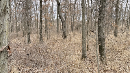 Income Producing Property In Northwest Missouri - image 11