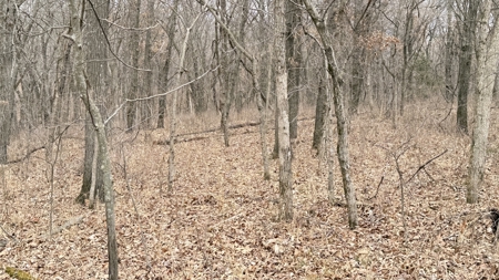 Income Producing Property In Northwest Missouri - image 10