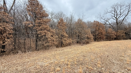 Income Producing Property In Northwest Missouri - image 16