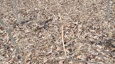 Income Producing Property In Northwest Missouri - image 9