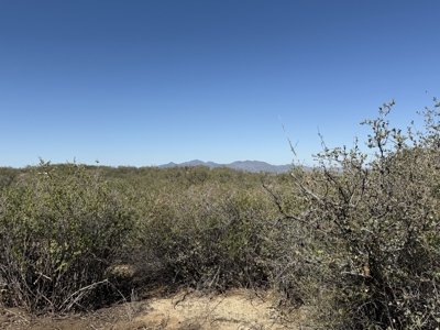 Country Lot for Sale in Wilhoit AZ - Power and Water! - image 2